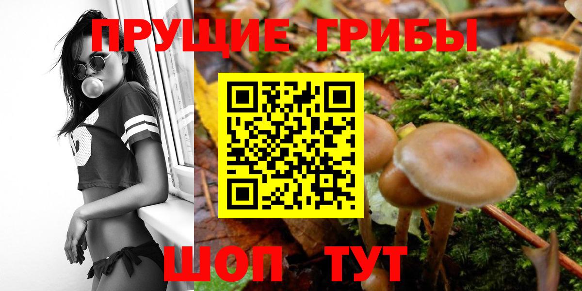 Кстово  Псилоцибиновые грибы мухоморы  Псилоцибиновые грибы Psilocybe  Вход с VPN 